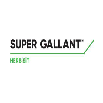 SUPER GALLANT®