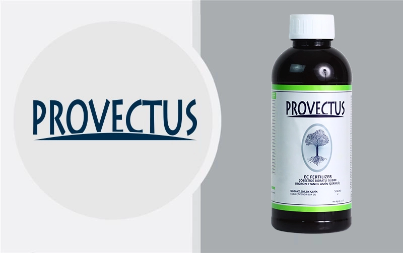 Business_Team_single