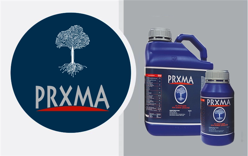 Business_Team_single