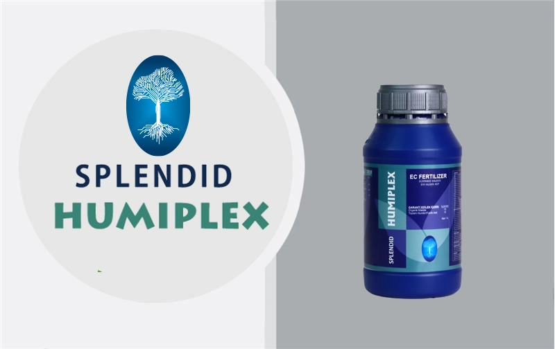 SPLENDID HUMIPLEX