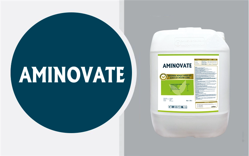 AMINOVATE